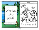 A Lift-the Flap pond animals  emergent reader, plus puppets and vocabulary.