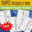 Make a reader - recognize and name 11 shapes.