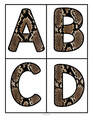 Snake skin (photo) large letters alphabet upper and lower case. 