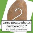 St. Patrick's Day potato counting game