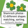 Shamrocks shapes matching center activity. 