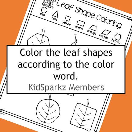Color 7 different leaf shapes according to the color code. 