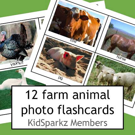 Farm animals theme activities and printables for preschool and kindergarten  - KIDSPARKZ