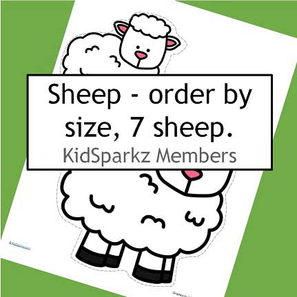 Sheep order by size 