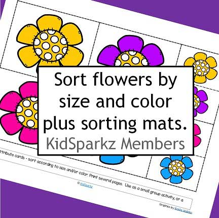 Flowers attributes sorting cards by size and color. 