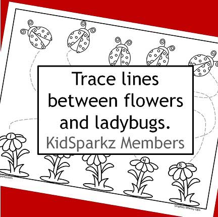race lines between flowers and ladybugs