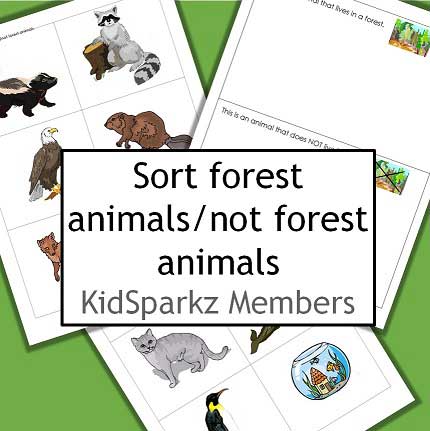 Forest animal categorizing activity.