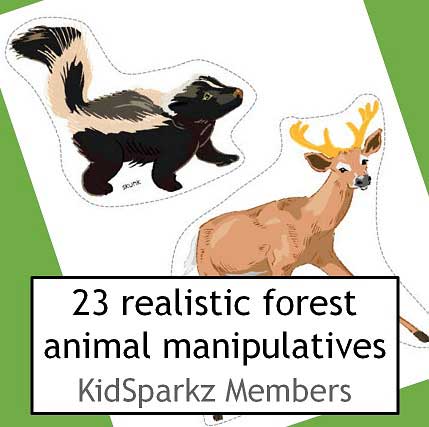 Forest animals theme large manipulatives