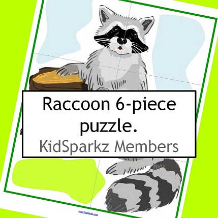 Forest animal theme raccoon puzzle