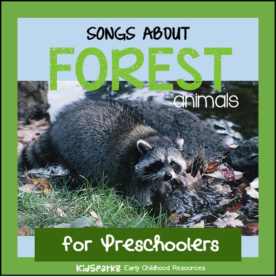 Songs and rhymes about forest animals for preschool Pre-K and Kindergarten.  - KIDSPARKZ