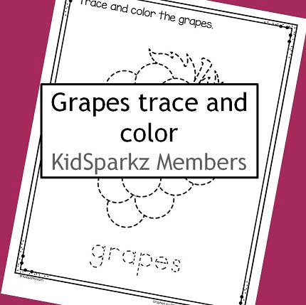 Grapes trace and color printable