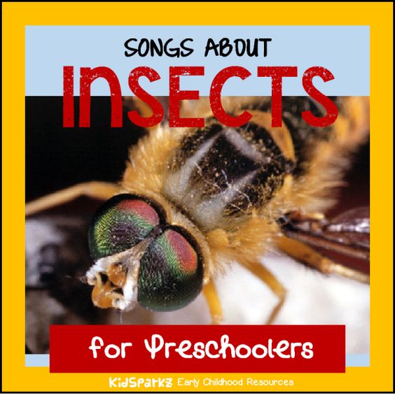 songs and rhymes about insects