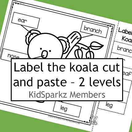 Label the koala, 2 levels: match word to word, and word to empty label. MEMBERS