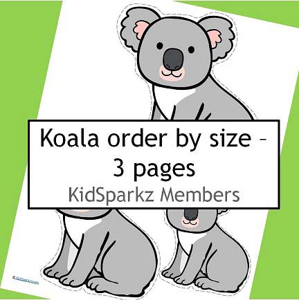 koalas order by size