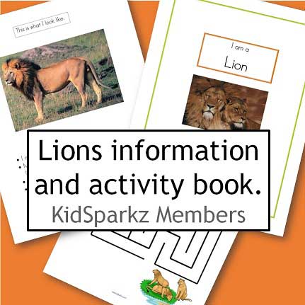 lions facts and activities booklet