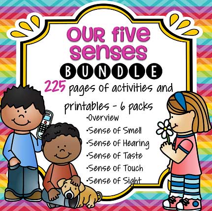 Our five senses preschool theme