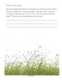 Wind can blow seeds informational printable