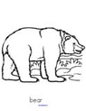Bear coloring worksheet