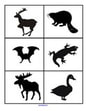 Forest animals - matching 12 silhouettes