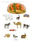 Desert discussion - Which animals live in this habitat?  Members