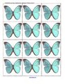 Bright blue butterfly photos to cut up for counting, creating sets, hiding and finding, art work etc.