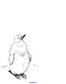 Baby penguin creative coloring