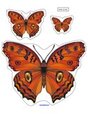 Butterflies preschool activity - order by size.