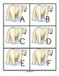 Polar bear alphabet cards