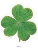 St Patrick's Day realistic shamrock for decorating, wall art