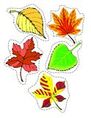 Fall theme - 5 leaves - sorting,matching and counting