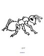 Ant creative coloring printable.