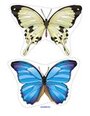 Butterflies theme manipulatives.  10 large different butterflies