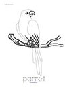 Rainforest parrot tracing printable