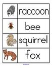 Forest animals vocabulary list