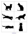 Cats Silhouettes (12). Children talk about what each cat is doing.