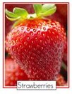 Strawberries photo poster.