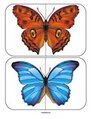  Butterflies 2 piece puzzle card (realistic style) - 12 cards.