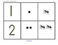 Ants theme - match numbers and sets