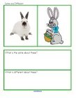 Easter bunny discussion. Talk about the similarities and differences between these 2 pictures