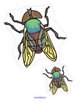Insects theme activity - order by size flies.