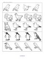 Birds  - which is different?