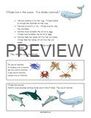 Whales information sheet