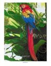 Parrot photo poster