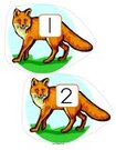 Forest animals foxes numbers
