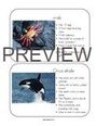 Sea animals information cards,