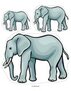 Elephants - order by size.