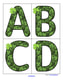 St. Patrick's Day alphabet letters large flashcards.