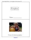 Pumpkin theme emergent reader - describes things to know about pumpkins