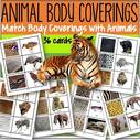 Match animals with their body coverings - 36 cards.