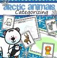 Arctic animals categorizing center, plus follow-up printables